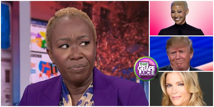 Trump, Megyn Kelly, & Amber Rose CELEBRATE Joy Reid’s MSNBC Show Cancelation: “She’s the Biggest Racist” & “Least Talented Person” on TV